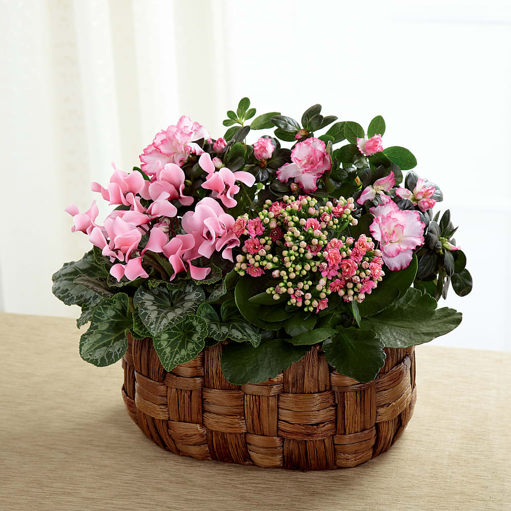 Pink Assortment – M & A FLOWERS AND EVENTS, South Gate CA