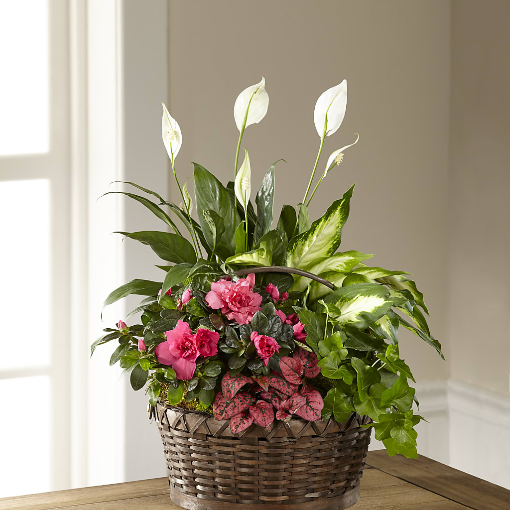 Dream in Pink Dishgarden – M & A FLOWERS AND EVENTS, South Gate CA