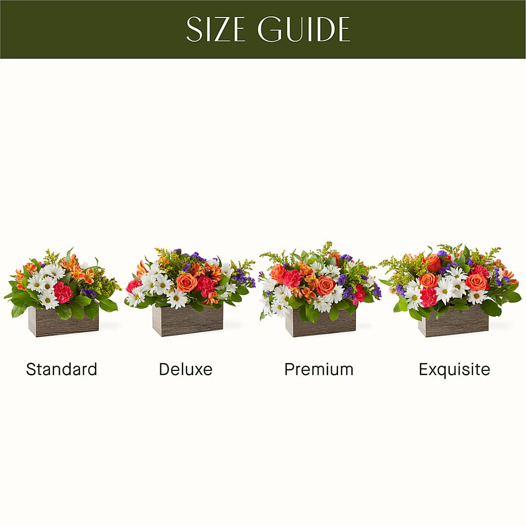 Oopsie Daisy Box Bouquet – M & A FLOWERS AND EVENTS, South Gate CA