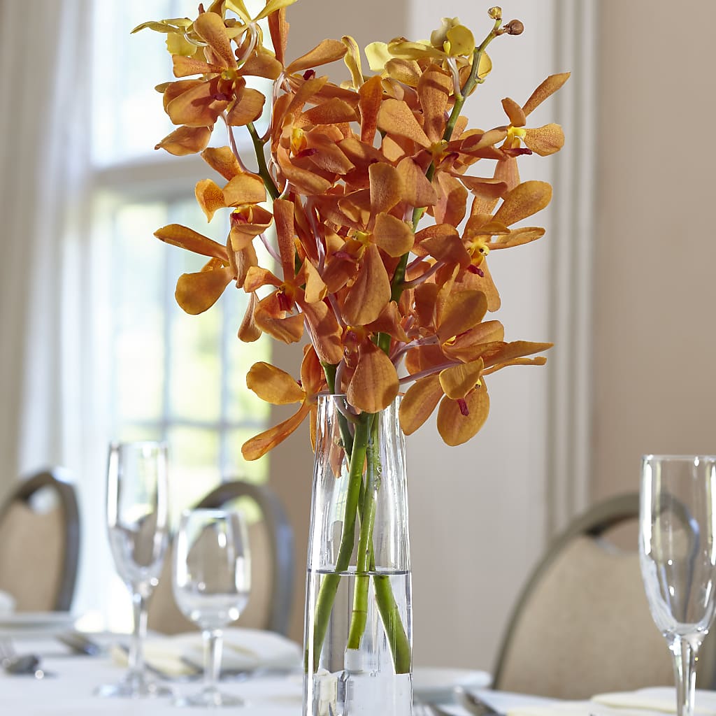 Orange Mokara Bud Vase – M & A FLOWERS AND EVENTS, South Gate CA