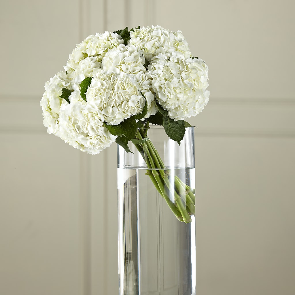White Hydrangea Hand-Tied Bouquet – M & A FLOWERS AND EVENTS, South Gate CA