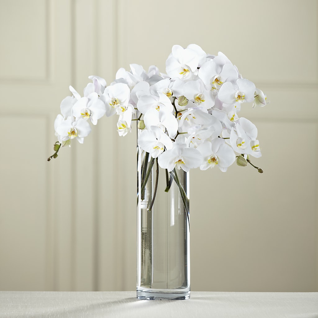 White Phalaenopsis Bouquet – M & A FLOWERS AND EVENTS, South Gate CA