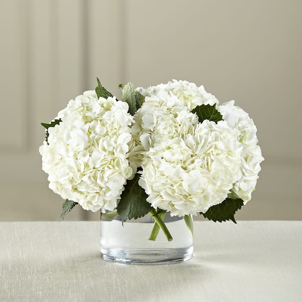 White Hydrangea Bouquet – M & A FLOWERS AND EVENTS, South Gate CA