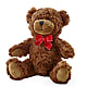 Adorable Plush Bear – M & A FLOWERS AND EVENTS, South Gate CA