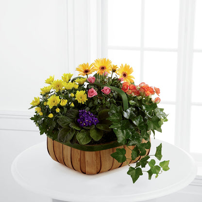 Gentle Blossoms Basket – M & A FLOWERS AND EVENTS, South Gate CA