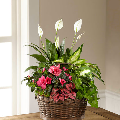 Dream in Pink Dishgarden – M & A FLOWERS AND EVENTS, South Gate CA
