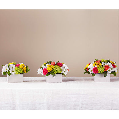 Sorbet Bouquet – M & A FLOWERS AND EVENTS, South Gate CA