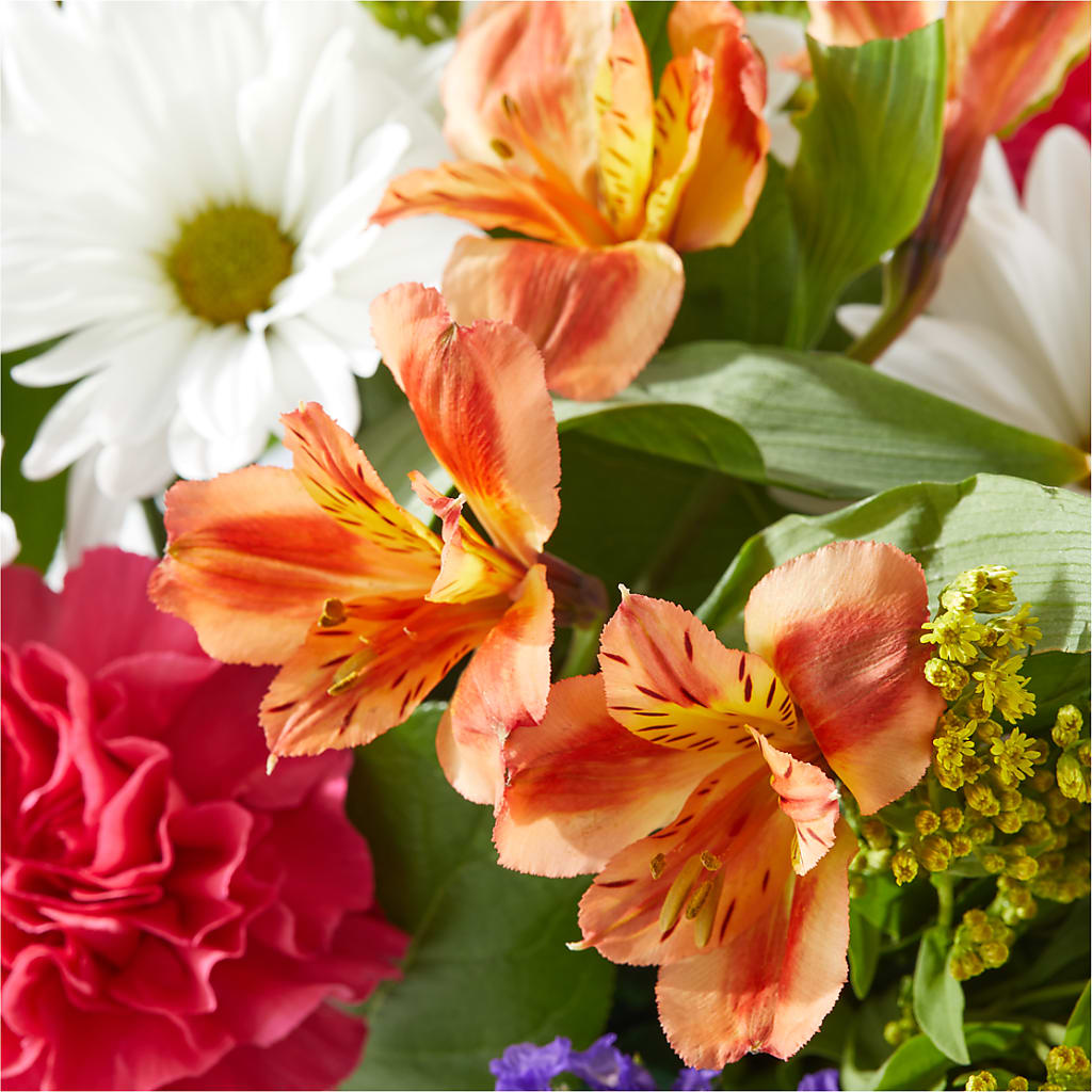 Oopsie Daisy Box Bouquet – M & A FLOWERS AND EVENTS, South Gate CA