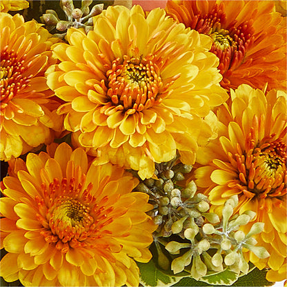 Peachy Pumpkin – M & A FLOWERS AND EVENTS, South Gate CA
