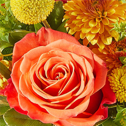 Gourdgeous Pumpkin – M & A FLOWERS AND EVENTS, South Gate CA