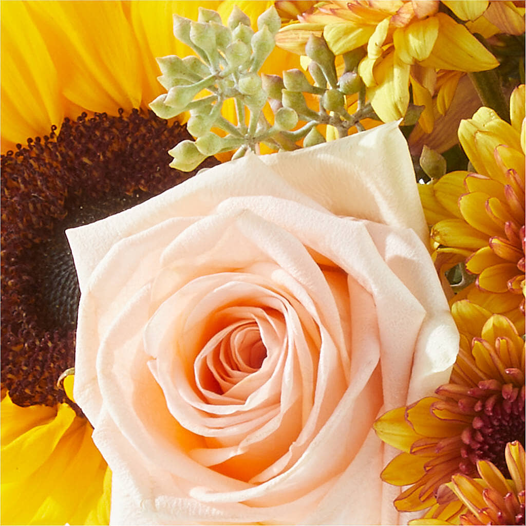 Pumpkin to Talk About Bouquet – M & A FLOWERS AND EVENTS, South Gate CA