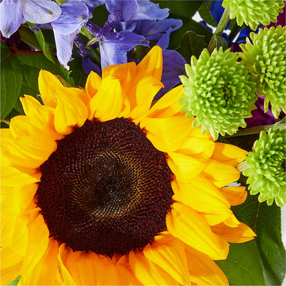 Catching Rays Bouquet – M & A FLOWERS AND EVENTS, South Gate CA