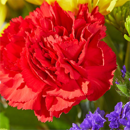 Brighter Days Bouquet – M & A FLOWERS AND EVENTS, South Gate CA