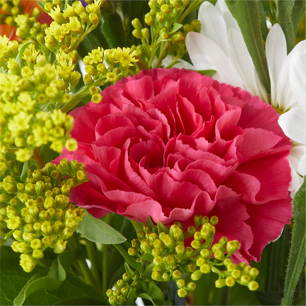 Oopsie Daisy Bouquet – M & A FLOWERS AND EVENTS, South Gate CA