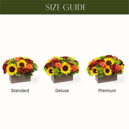 Happy Harvest Garden – M & A FLOWERS AND EVENTS, South Gate CA