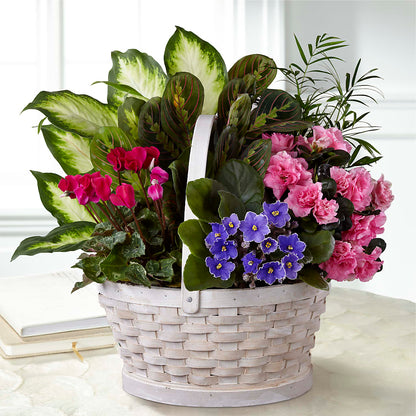 Peaceful Garden Planter – M & A FLOWERS AND EVENTS, South Gate CA