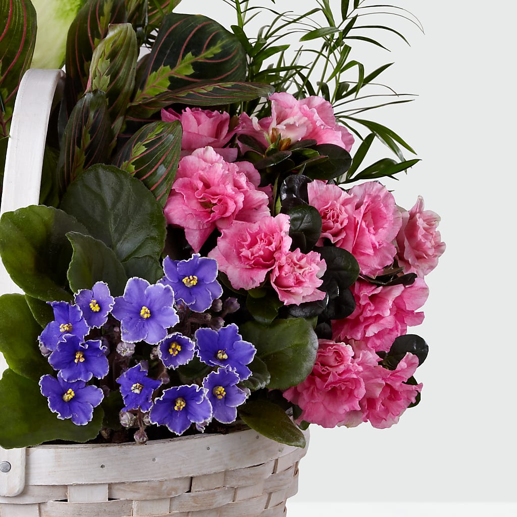 Peaceful Garden Planter – M & A FLOWERS AND EVENTS, South Gate CA