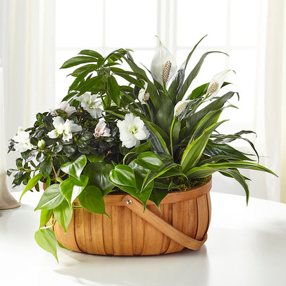 Serene Dishgarden – M & A FLOWERS AND EVENTS, South Gate CA