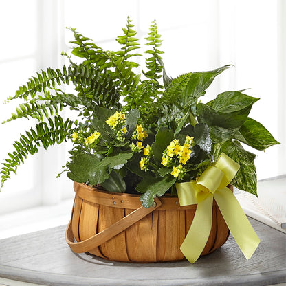 Always Dear Dishgarden – M & A FLOWERS AND EVENTS, South Gate CA