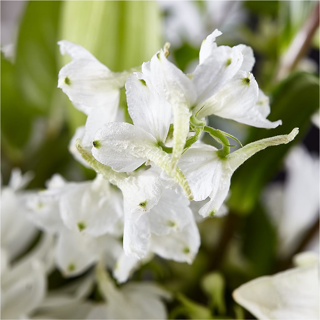 Classic Ivory – A Florist Original – M & A FLOWERS AND EVENTS, South Gate CA