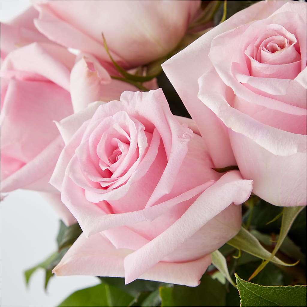 Picture Perfect Pink Rose Bouquet – M & A FLOWERS AND EVENTS, South Gate CA