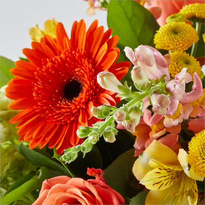 Autumn Sunshine Bouquet – M & A FLOWERS AND EVENTS, South Gate CA