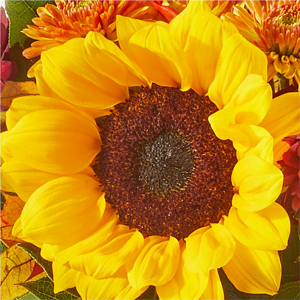 Sunny Side Bouquet – M & A FLOWERS AND EVENTS, South Gate CA