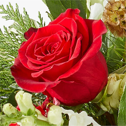 Deck the Halls Bouquet – M & A FLOWERS AND EVENTS, South Gate CA