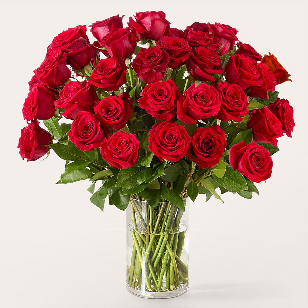 The One Red Rose Bouquet – M & A FLOWERS AND EVENTS, South Gate CA