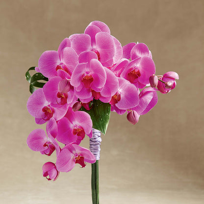 Glorious Bouquet – M & A FLOWERS AND EVENTS, South Gate CA