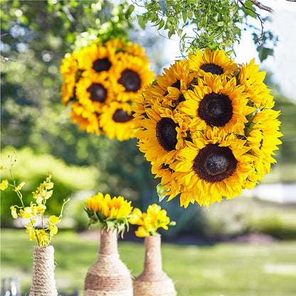 Sublime Garden Hanging Arrangement – M & A FLOWERS AND EVENTS, South Gate CA
