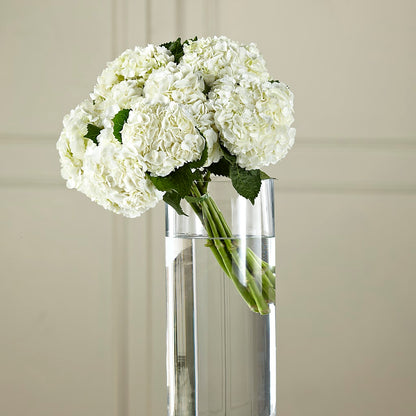 White Hydrangea Hand-Tied Bouquet – M & A FLOWERS AND EVENTS, South Gate CA