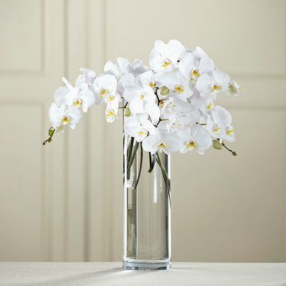 White Phalaenopsis Bouquet – M & A FLOWERS AND EVENTS, South Gate CA