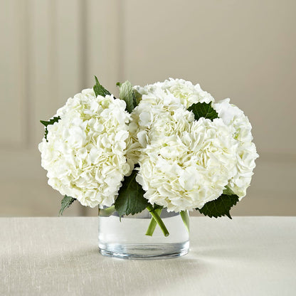 White Hydrangea Bouquet – M & A FLOWERS AND EVENTS, South Gate CA